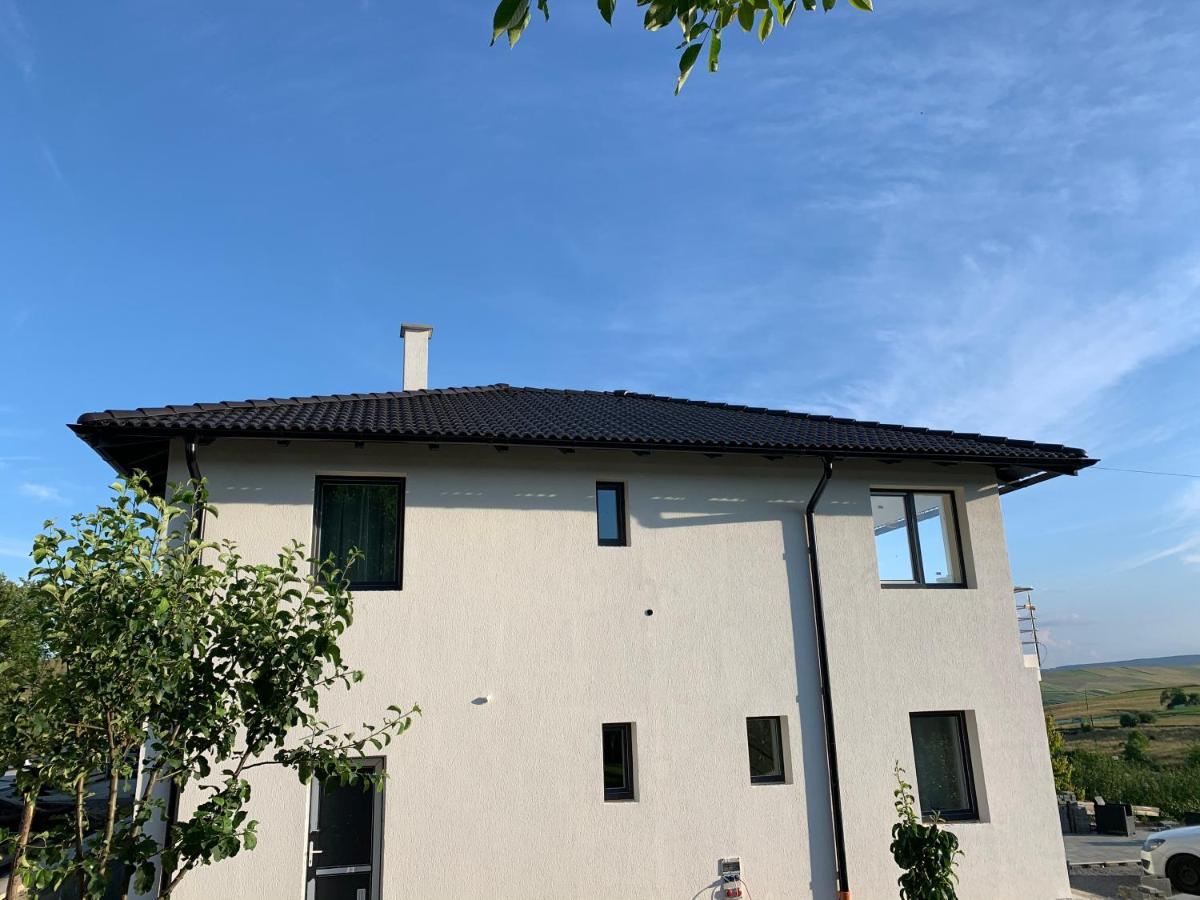 Viktoria House Villa Одореу Секуеш Екстериор снимка