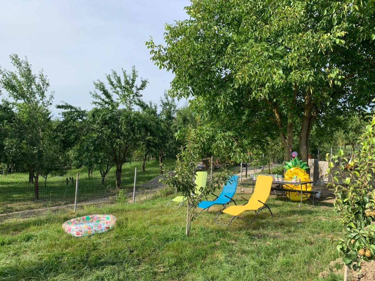 Viktoria House Villa Одореу Секуеш Екстериор снимка