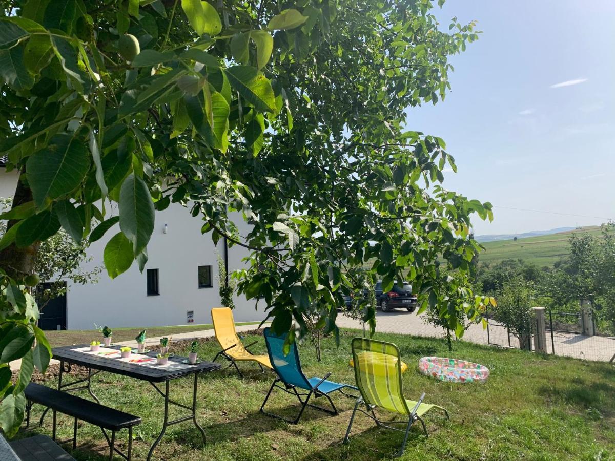 Viktoria House Villa Одореу Секуеш Екстериор снимка
