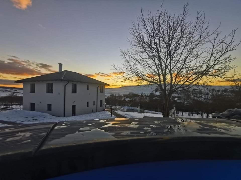Viktoria House Villa Одореу Секуеш Екстериор снимка