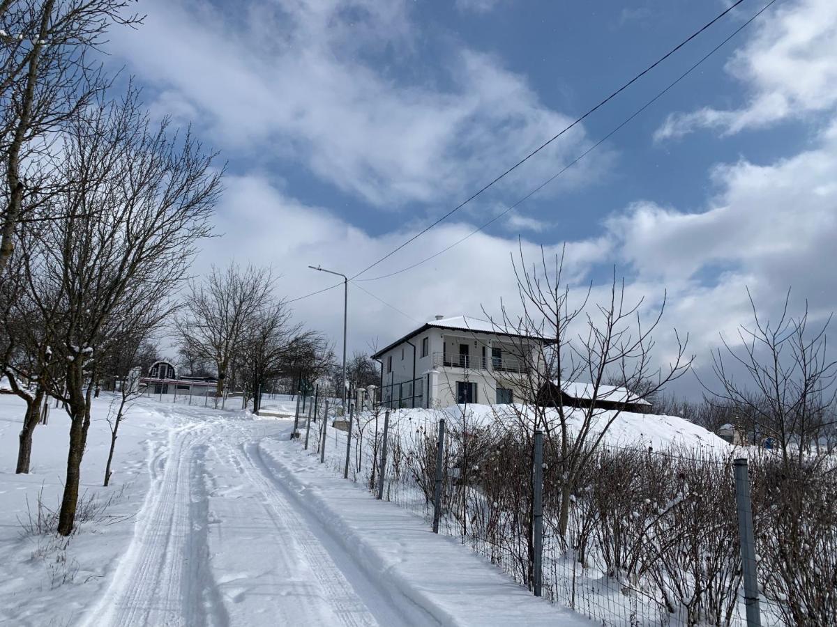 Viktoria House Villa Одореу Секуеш Екстериор снимка