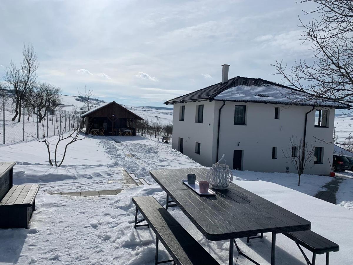 Viktoria House Villa Одореу Секуеш Екстериор снимка