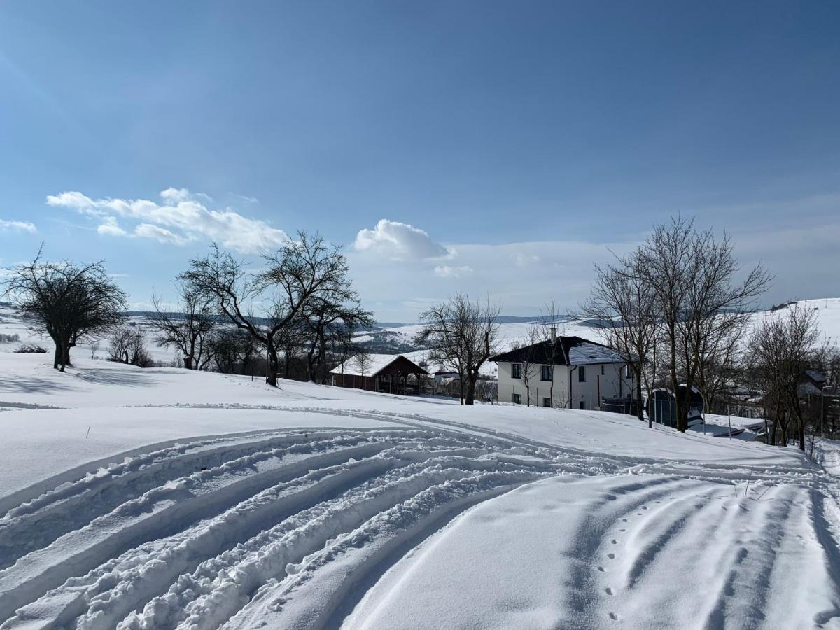 Viktoria House Villa Одореу Секуеш Екстериор снимка