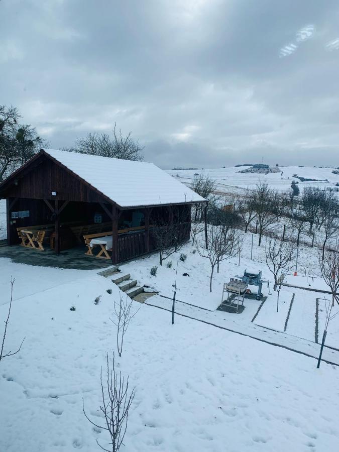 Viktoria House Villa Одореу Секуеш Екстериор снимка